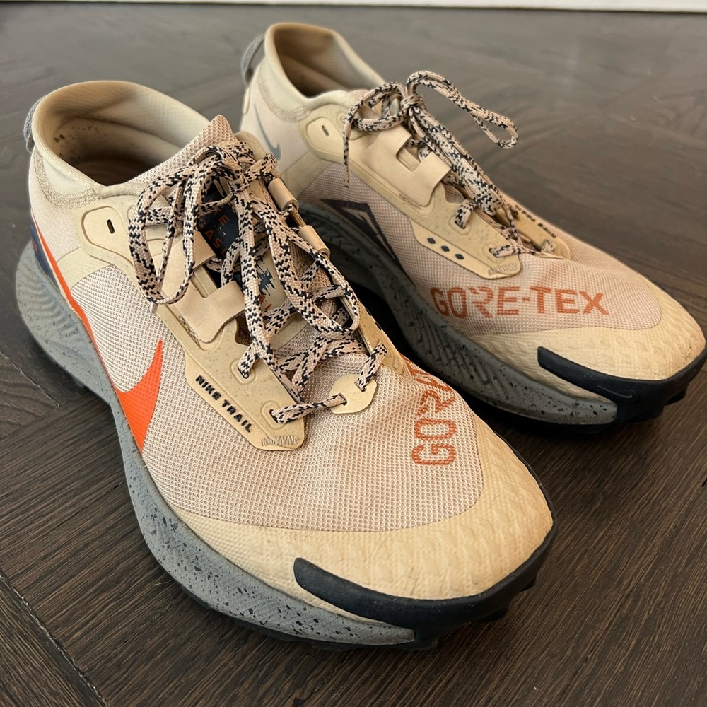 Nike Pegasus Trail 3 GTX
